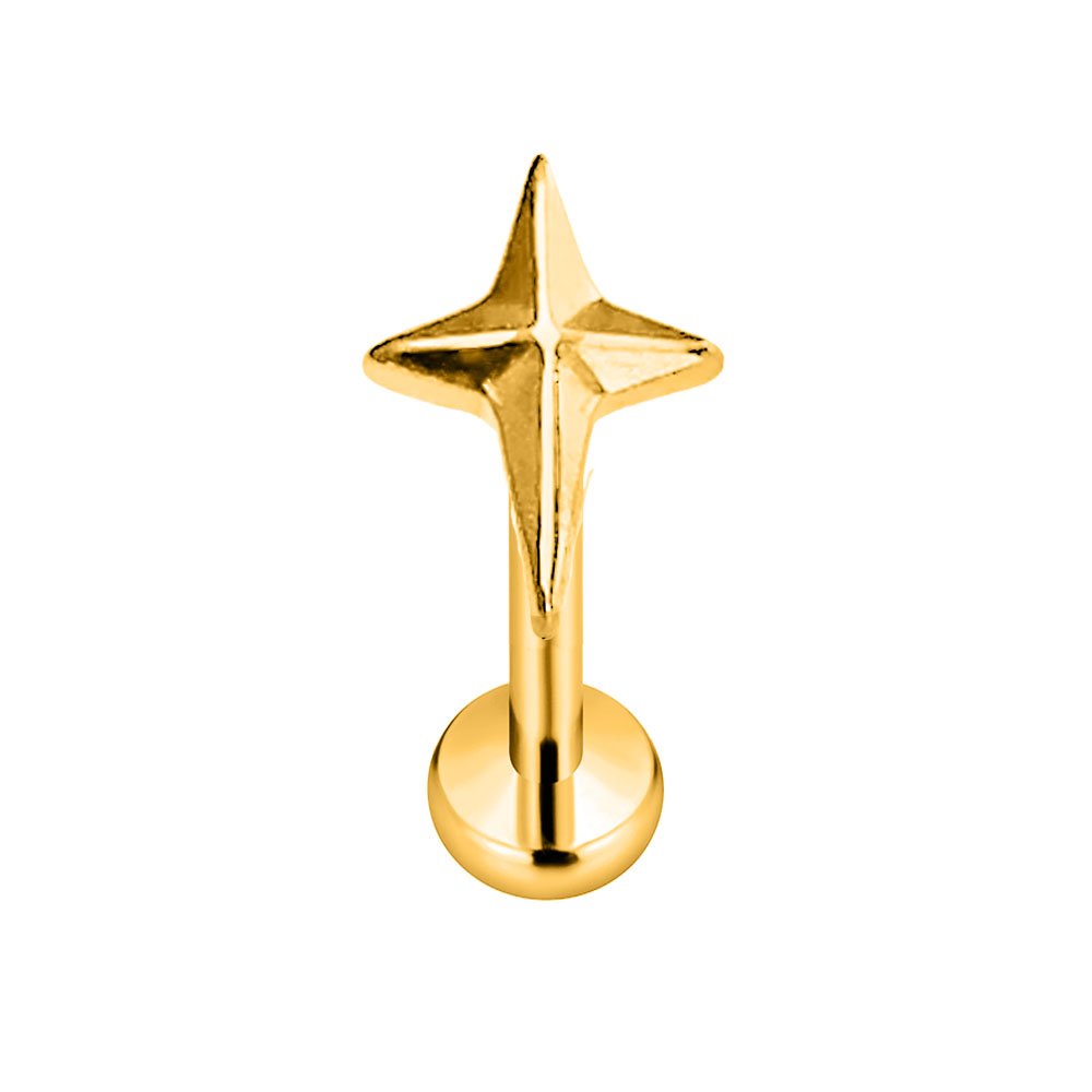 Boucle d'Oreille en Titane AST - Body Jewelry Threadless avis et prix